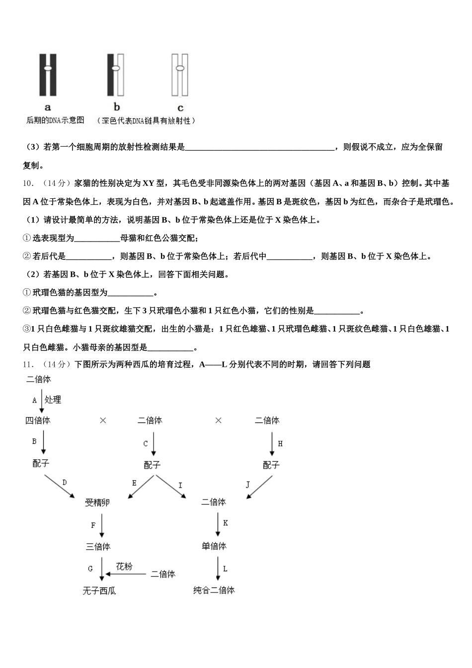 2025年江苏省赣榆县海头高级中学生物高一第二学期期末学业水平测试试题含解析_第3页