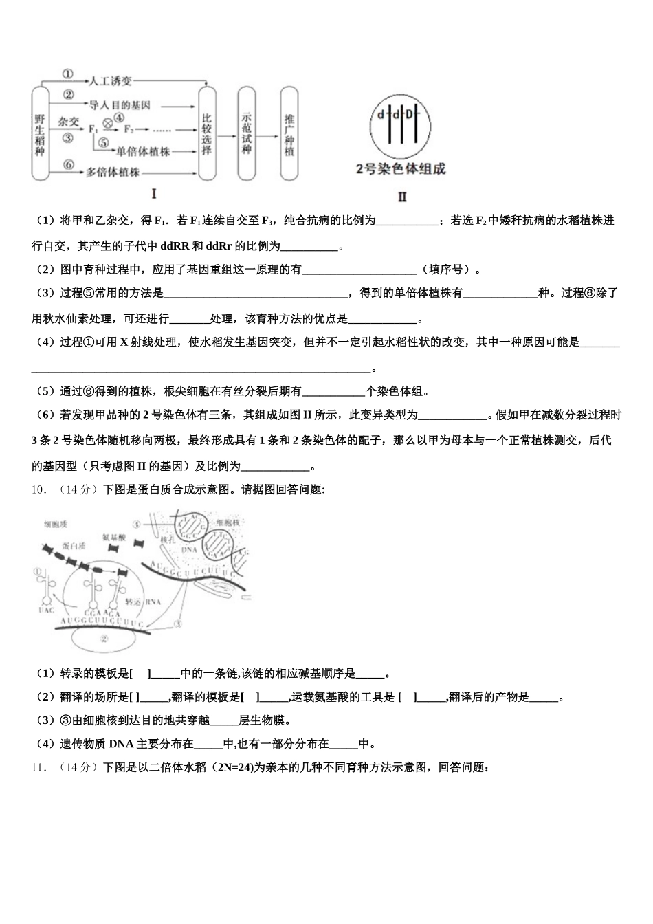 2025届江苏省高邮市生物高一下期末经典试题含解析_第3页
