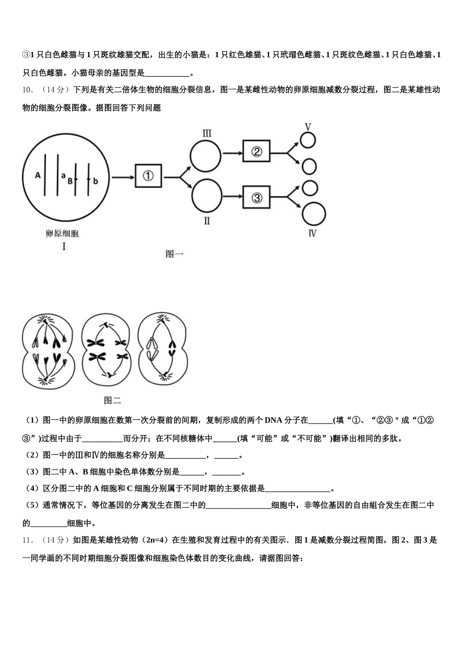 江苏省南京师范大学苏州实验学校2025届高一下生物期末学业水平测试试题含解析_第3页