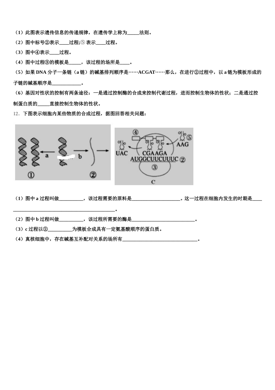 2024-2025学年江苏省淮安市涟水县第一中学高一下生物期末联考试题含解析_第3页