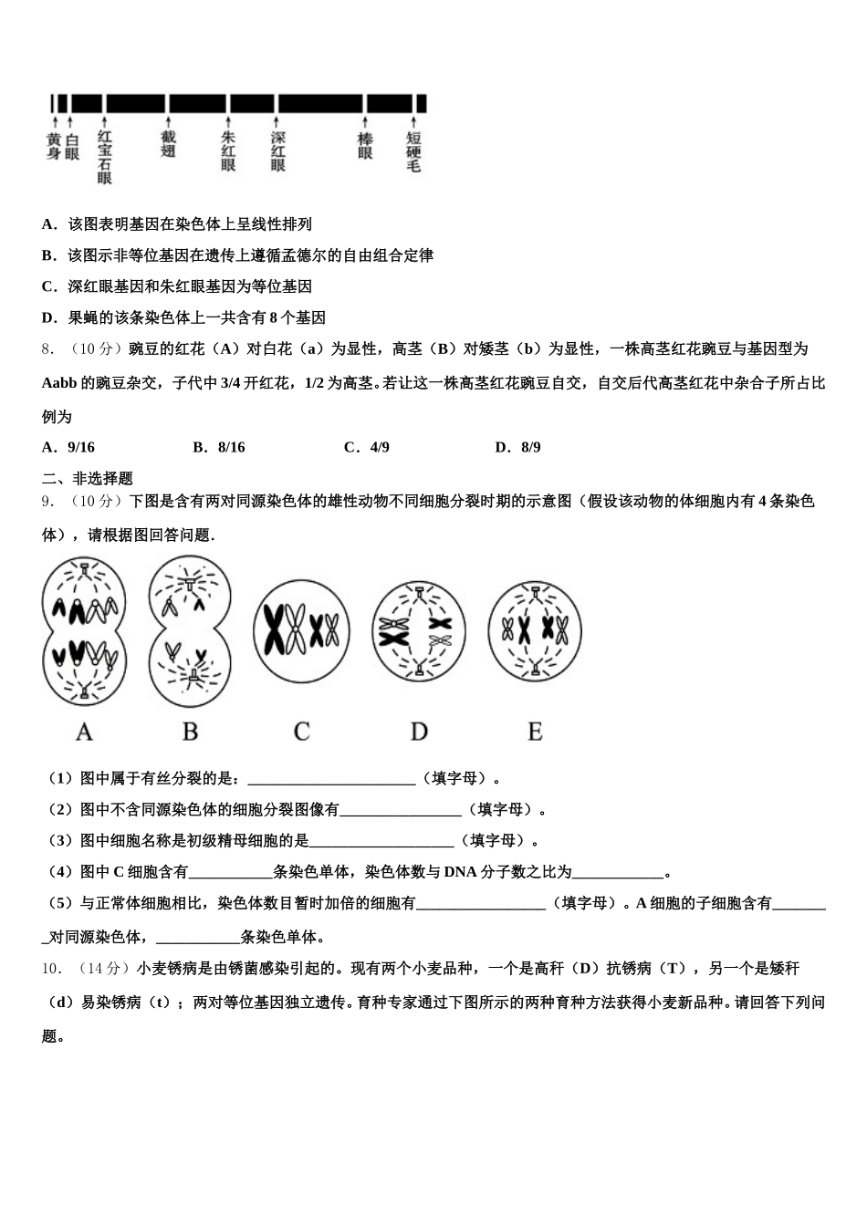 2025年江苏常熟中学高一下生物期末联考试题含解析_第2页