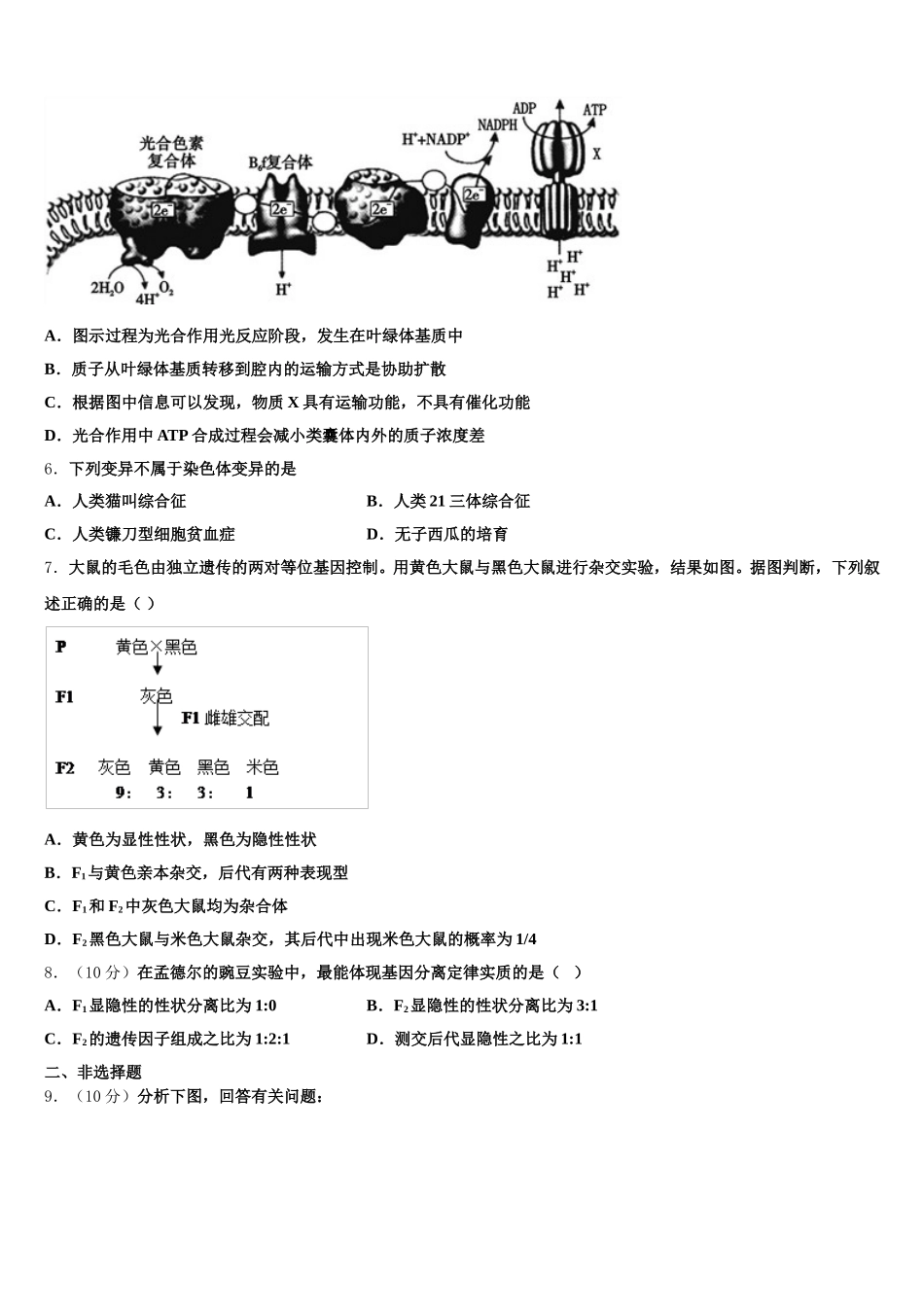 江苏省高邮市2025年高一生物第二学期期末调研模拟试题含解析_第2页