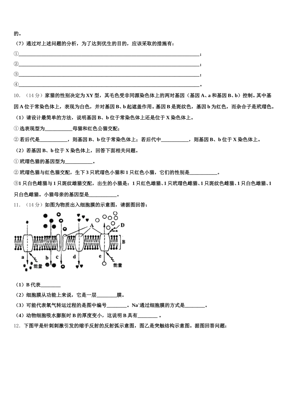江苏省前黄高级中学2025届高一下生物期末联考试题含解析_第3页