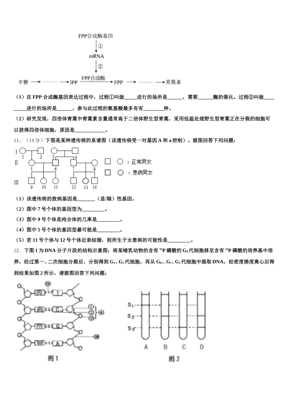 江苏省盐城市2024-2025学年高一生物第二学期期末联考试题含解析_第3页