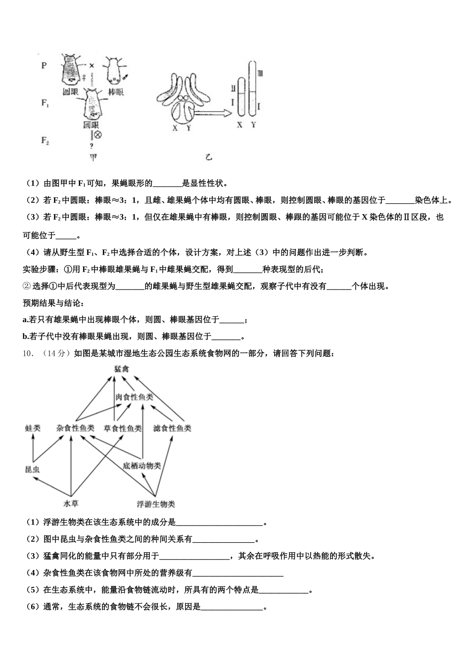 2025年江苏省苏州实验中学高一生物第二学期期末学业质量监测试题含解析_第3页