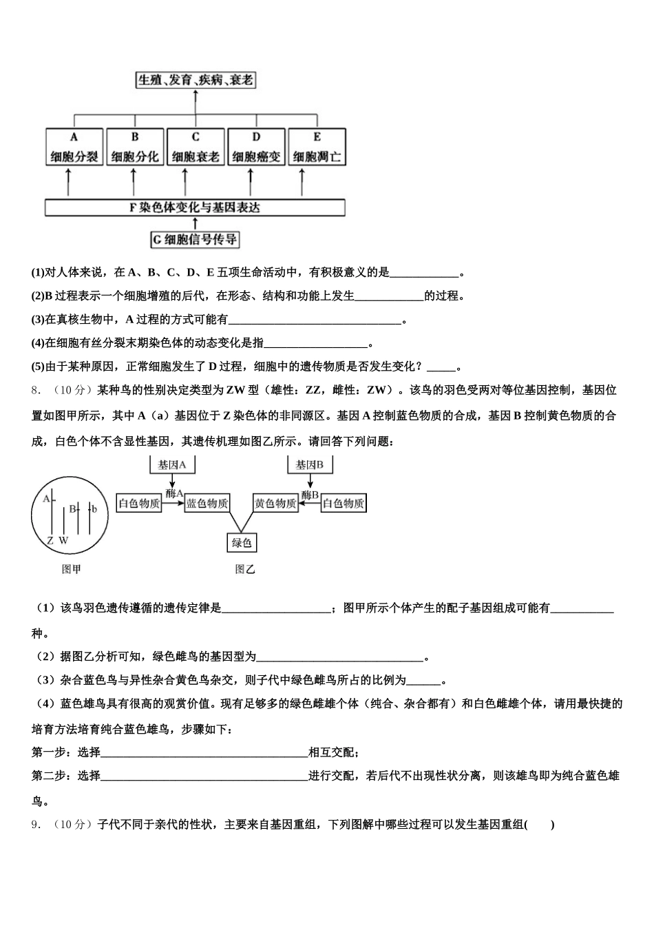 江苏无锡市锡山中学2025届高一下生物期末考试试题含解析_第3页
