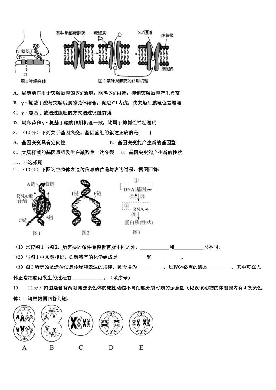 2025年江苏省新沂市第一中学生物高一下期末统考模拟试题含解析_第2页