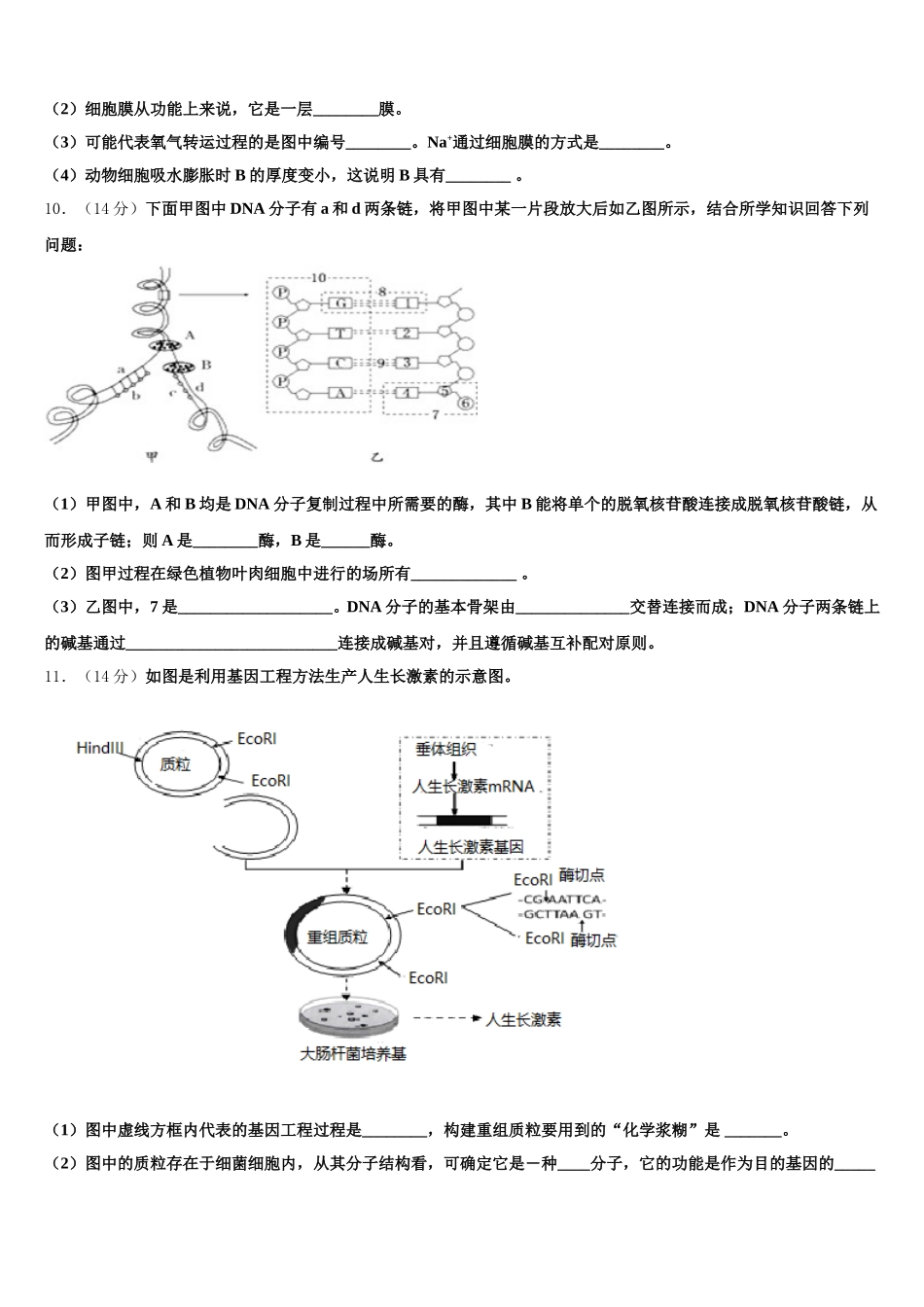 江苏省苏北地区2025年生物高一第二学期期末学业质量监测模拟试题含解析_第3页