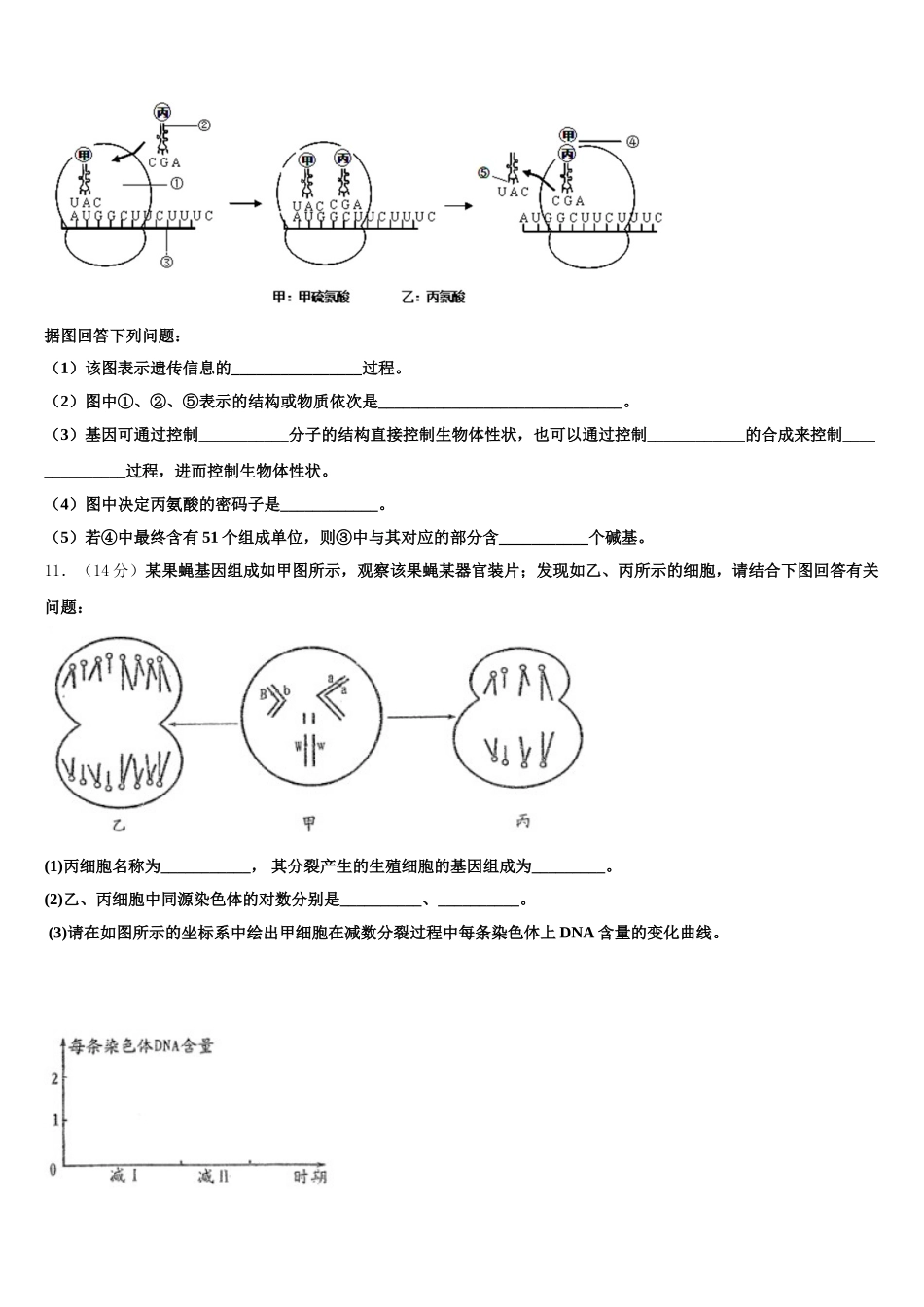 2025届南京市重点中学生物高一第二学期期末学业水平测试模拟试题含解析_第3页