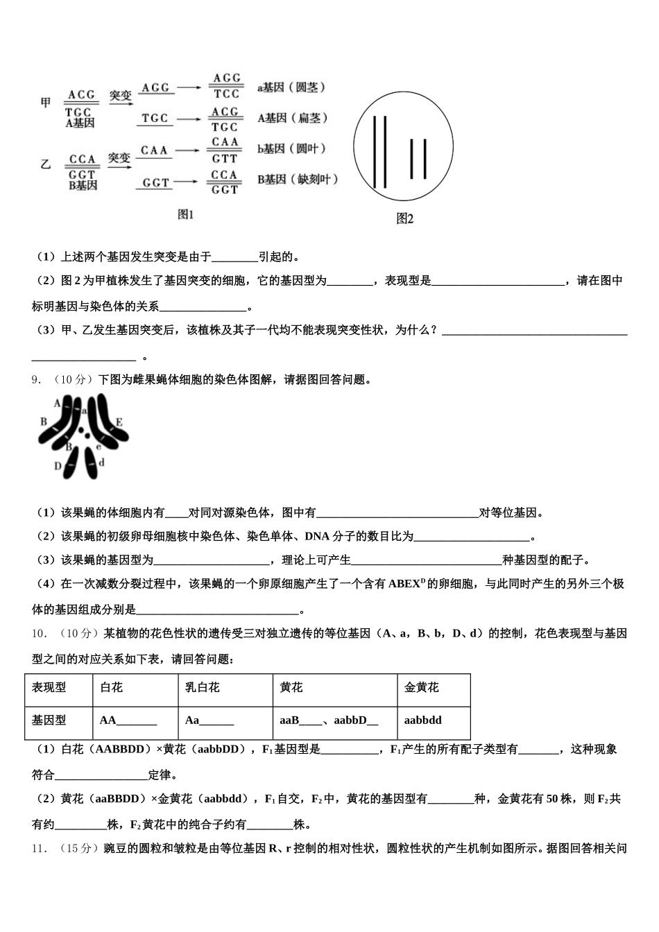 2024-2025学年江苏省苏州市第一中学高一生物第二学期期末达标检测模拟试题含解析_第3页