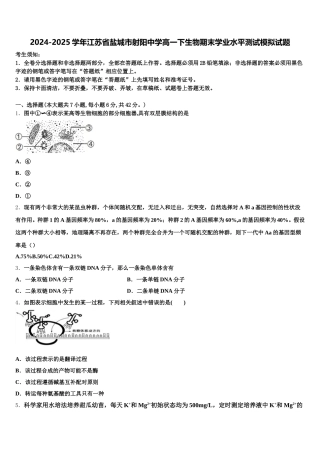 2024-2025学年江苏省盐城市射阳中学高一下生物期末学业水平测试模拟试题含解析
