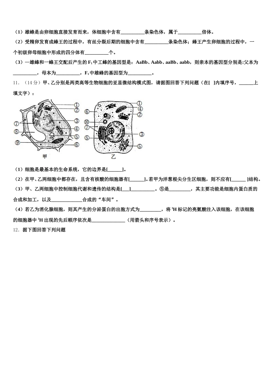 江苏省盐城市响水中学2025年高一生物第二学期期末学业质量监测试题含解析_第3页