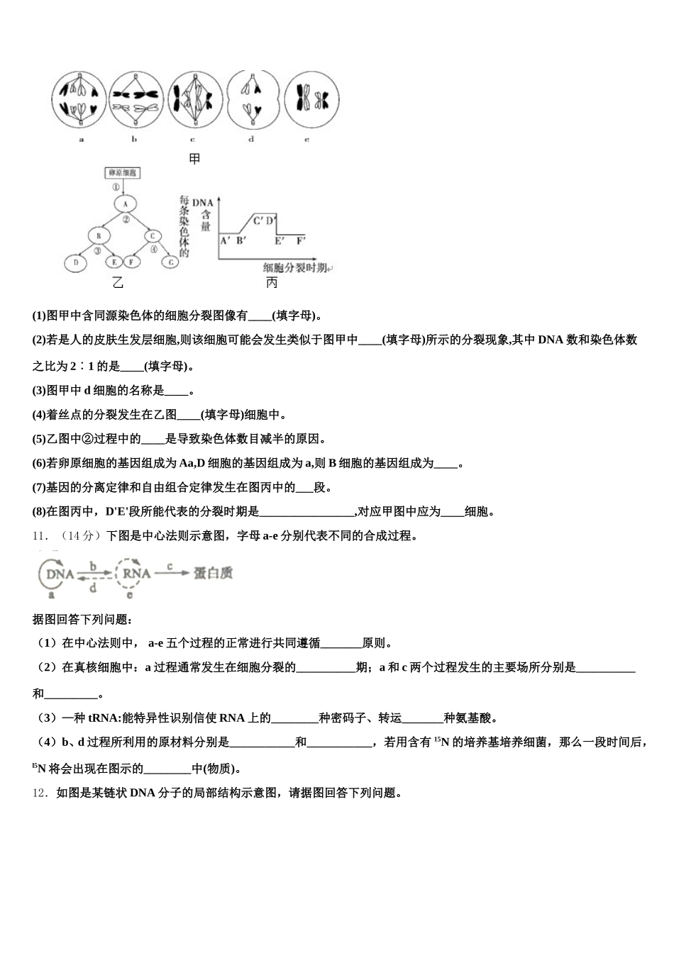 2025届江苏省常熟市高一生物第二学期期末教学质量检测模拟试题含解析_第3页