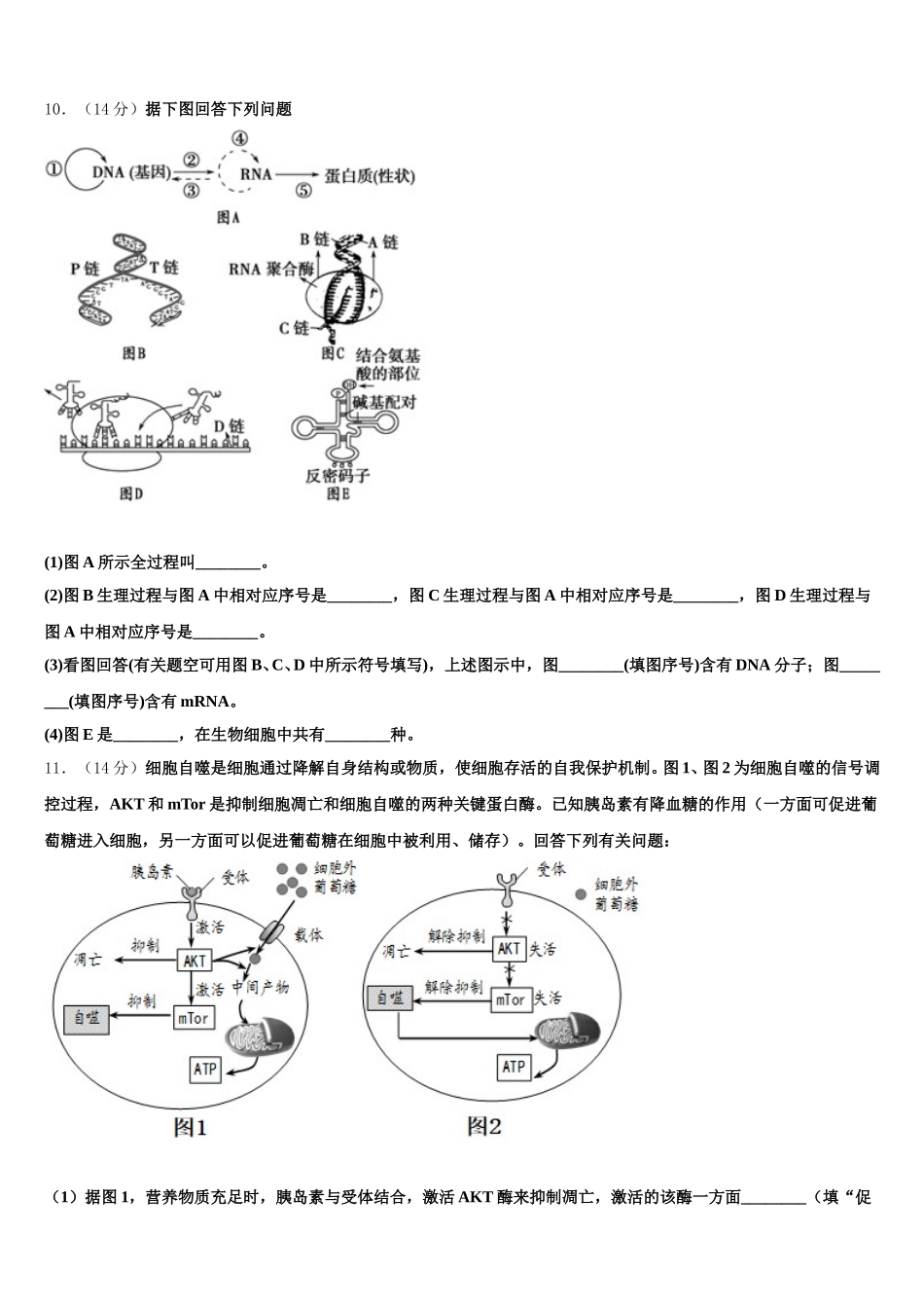2025届江苏省永丰初级中学高一下生物期末达标检测试题含解析_第3页