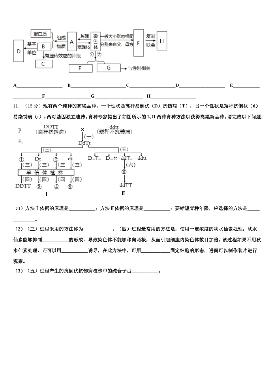 江苏省徐州市第一中学2025届生物高一下期末达标检测试题含解析_第3页