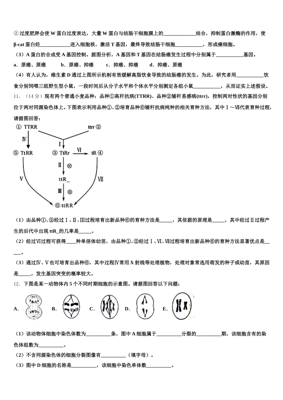 2025届江苏省江安高级中学生物高一下期末达标检测试题含解析_第3页