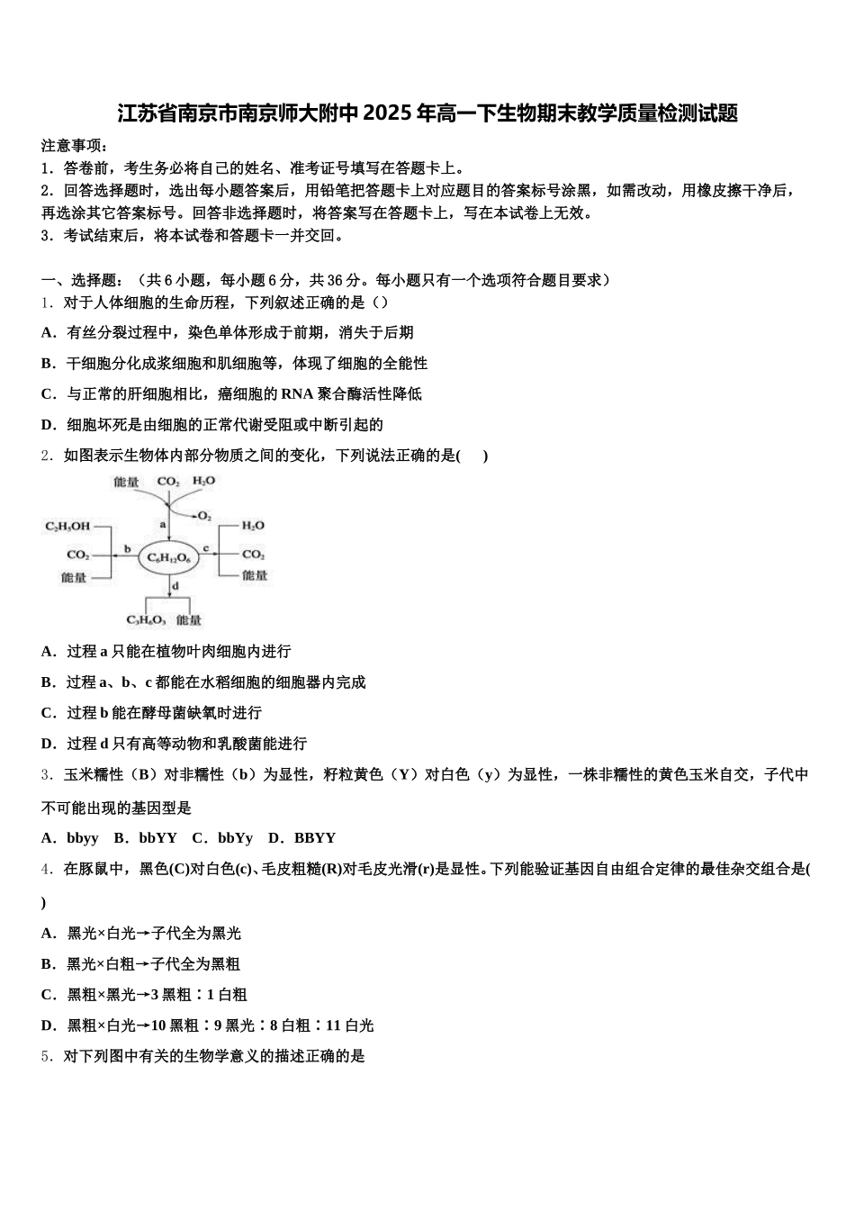 江苏省南京市南京师大附中2025年高一下生物期末教学质量检测试题含解析_第1页