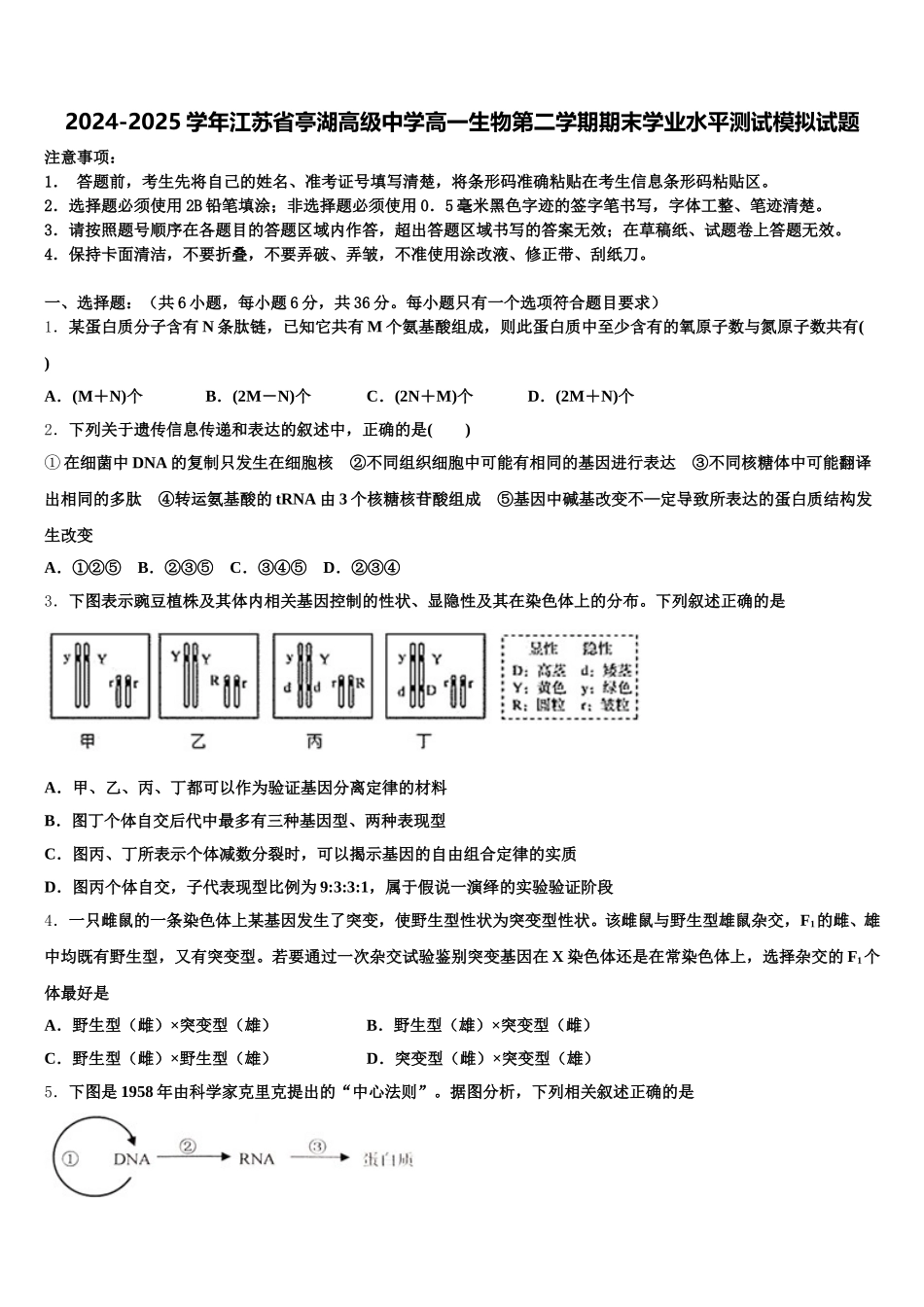 2024-2025学年江苏省亭湖高级中学高一生物第二学期期末学业水平测试模拟试题含解析_第1页
