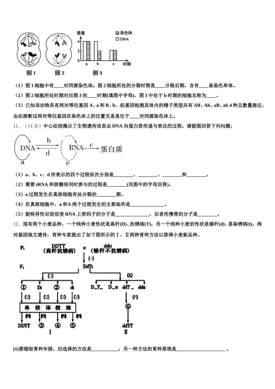 2024-2025学年江苏省侯集高级中学生物高一下期末预测试题含解析_第3页