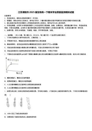江苏溧阳市2025届生物高一下期末学业质量监测模拟试题含解析