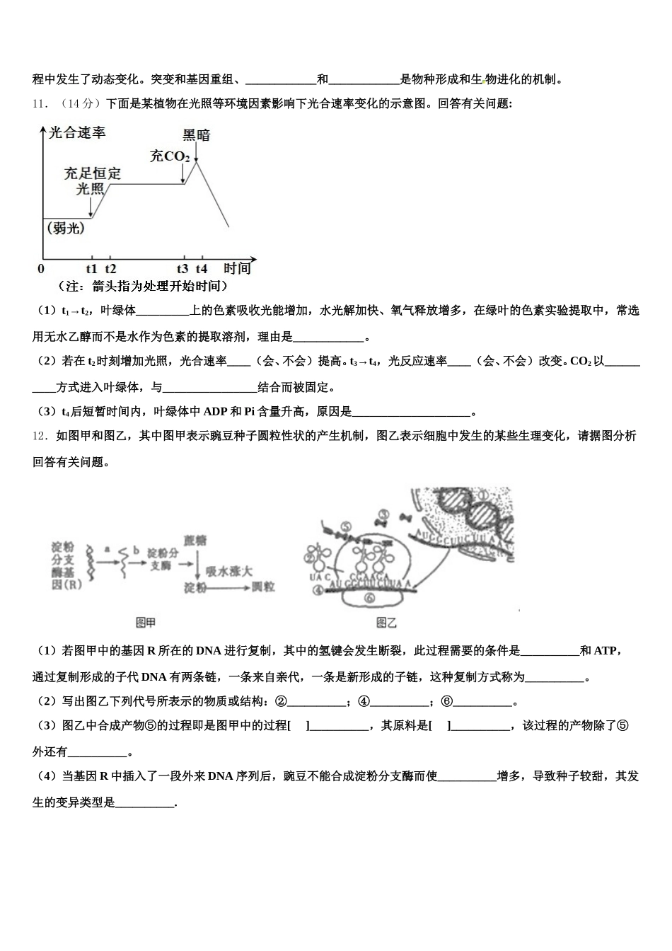 2025届江苏省徐州市铜山区大许中学生物高一第二学期期末调研模拟试题含解析_第3页