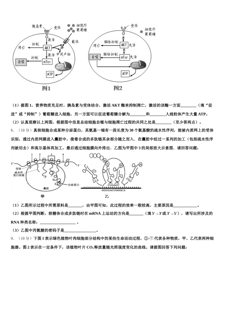 江苏省南京市南京一中2024-2025学年生物高一第二学期期末复习检测试题含解析_第3页