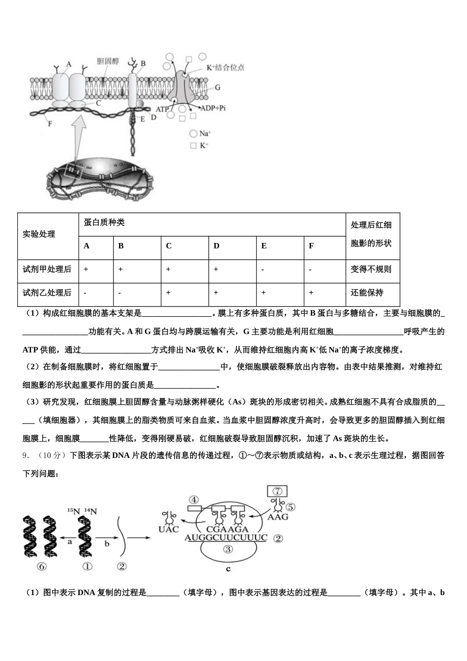 2025届江苏省三校高一生物第二学期期末质量跟踪监视模拟试题含解析_第3页