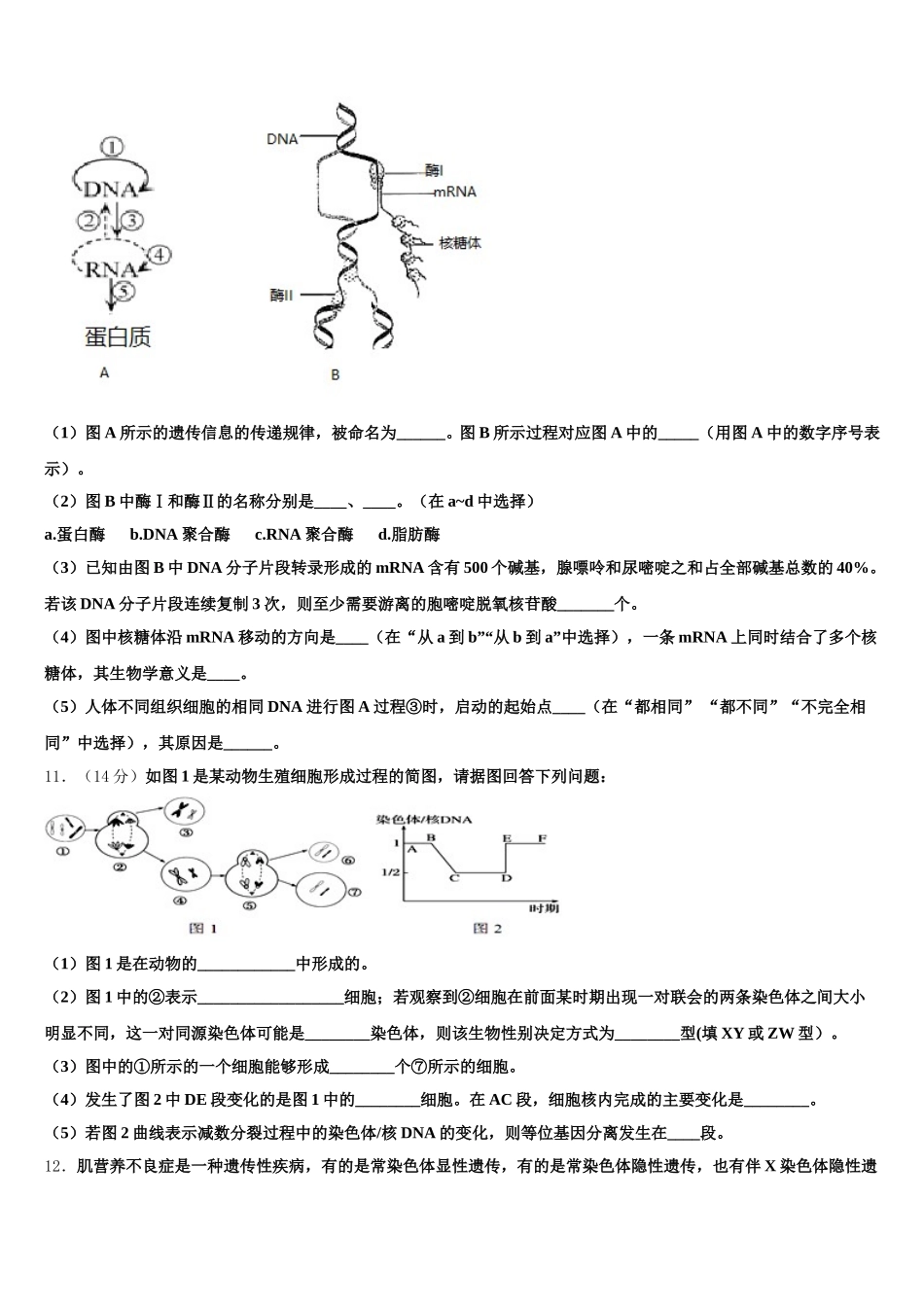 江苏省无锡市江阴市南菁高中2024-2025学年高一下生物期末经典试题含解析_第3页