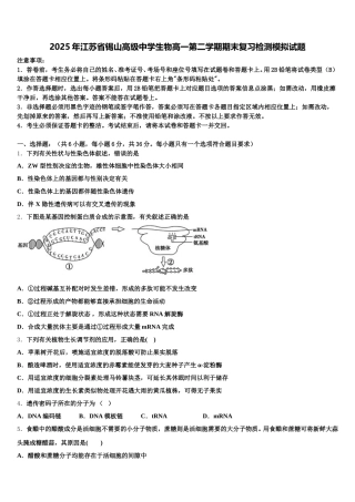 2025年江苏省锡山高级中学生物高一第二学期期末复习检测模拟试题含解析