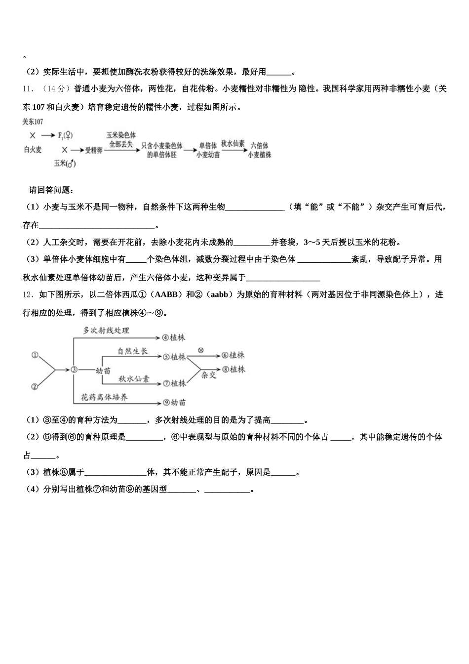 2025届江苏省东台市创新学校生物高一下期末复习检测模拟试题含解析_第3页