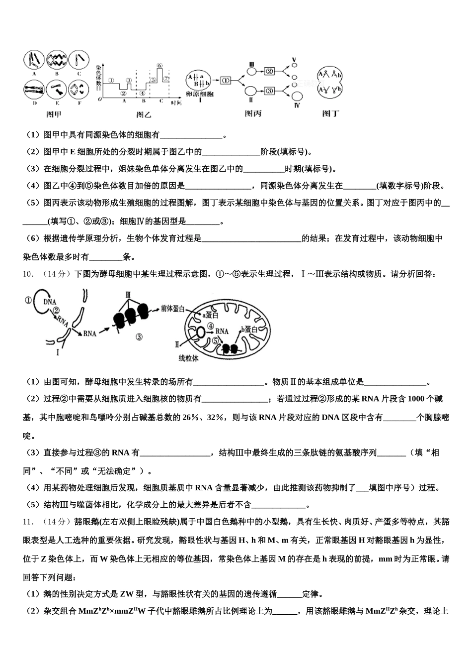 2024-2025学年苏州大学附属中学高一下生物期末质量检测试题含解析_第3页
