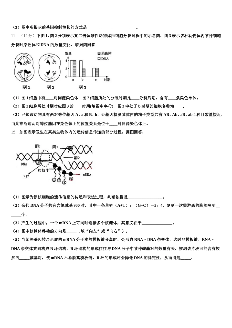 2024-2025学年江苏省扬州市邗江区瓜洲中学高一下生物期末经典试题含解析_第3页