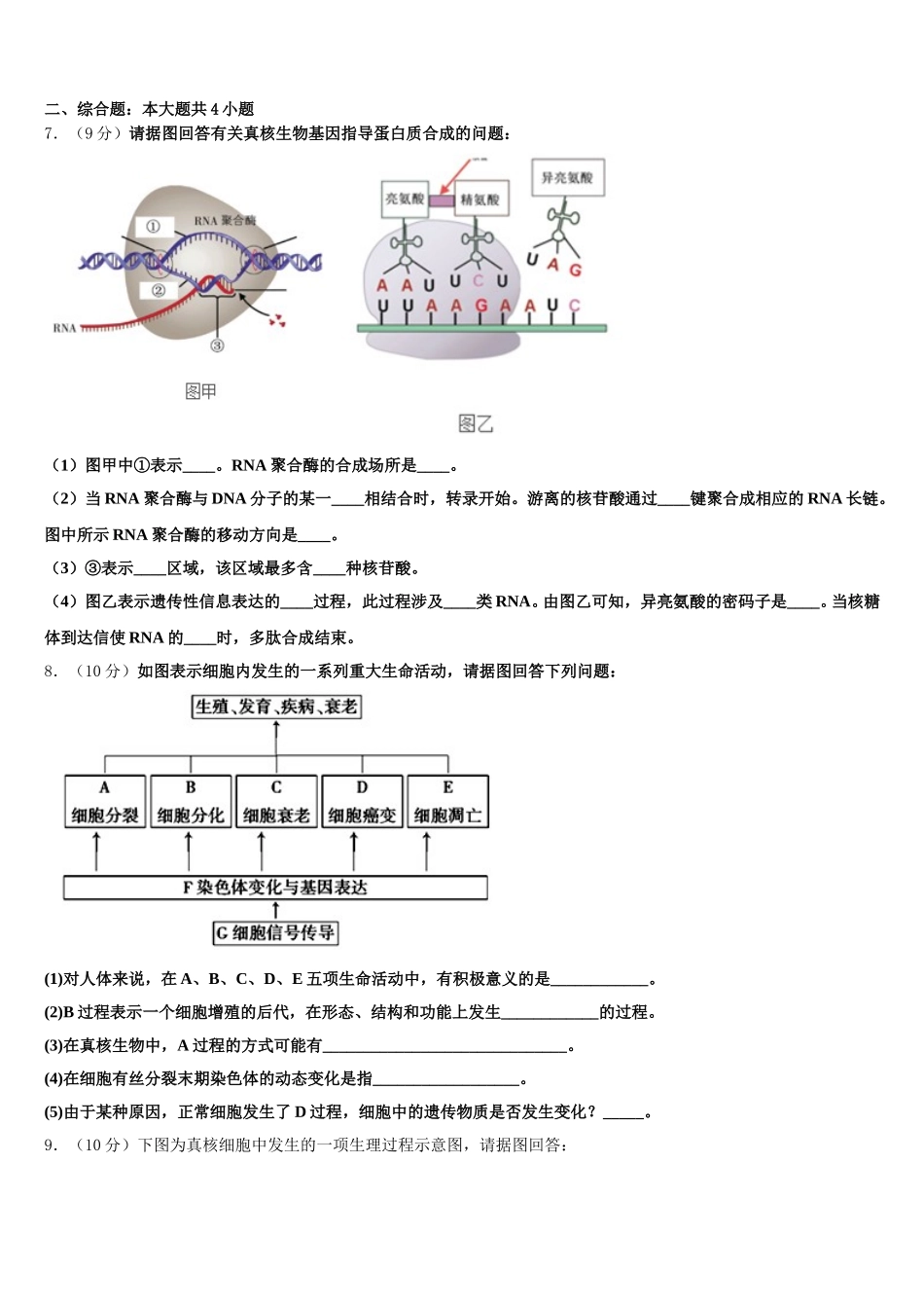 2025年江苏省东台市第一中学生物高一下期末监测试题含解析_第2页