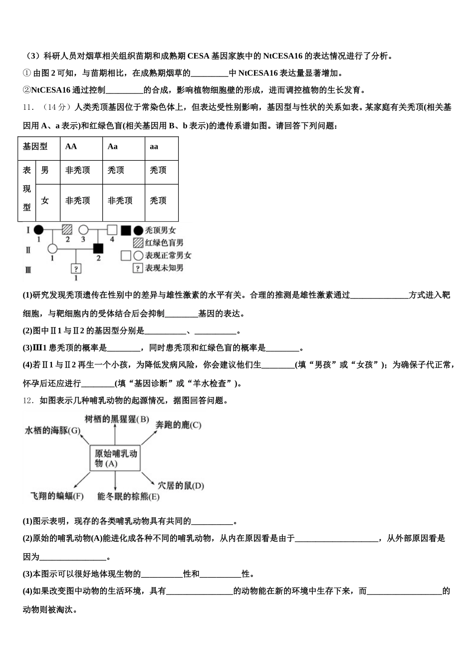 江苏省侯集高级中学2024-2025学年高一生物第二学期期末学业水平测试模拟试题含解析_第3页
