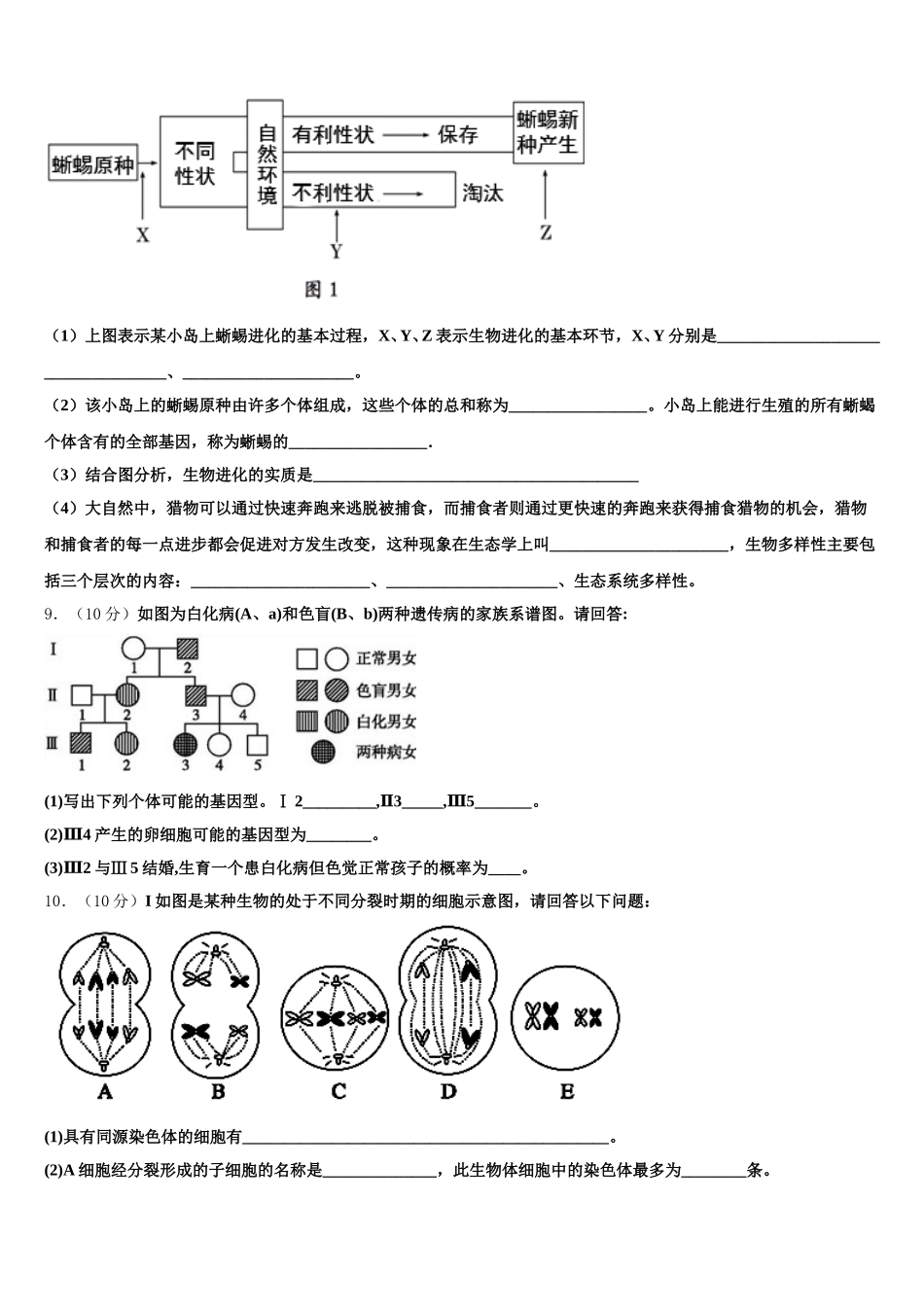 江苏省如东高级中学，如皋中学2025年高一下生物期末质量跟踪监视试题含解析_第3页