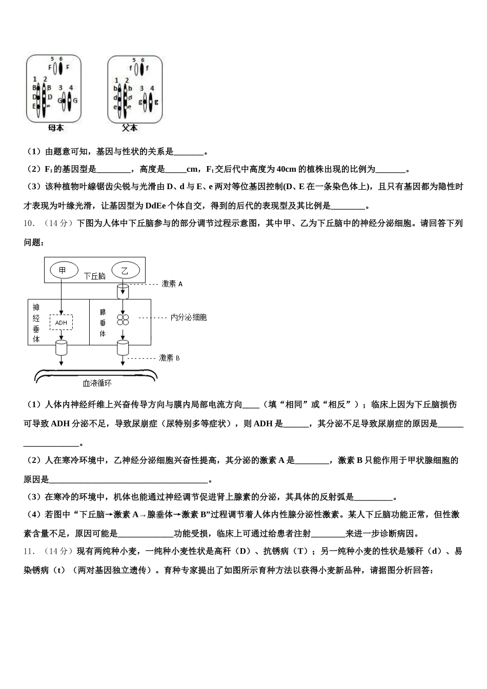 2025年江苏省徐州市铜山区大许中学生物高一第二学期期末质量跟踪监视试题含解析_第3页