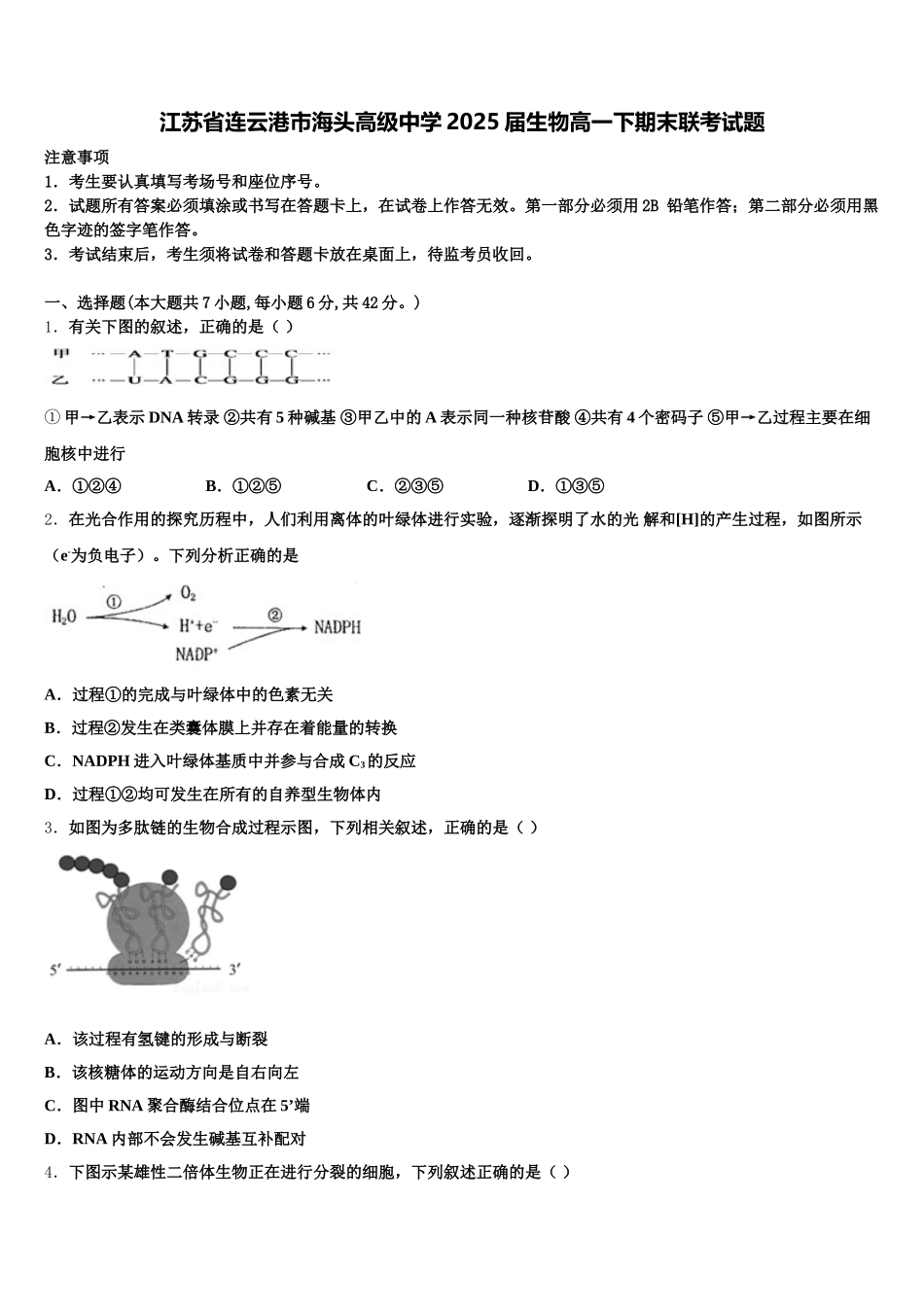 江苏省连云港市海头高级中学2025届生物高一下期末联考试题含解析_第1页