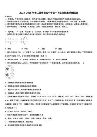 2024-2025学年江苏省宝应中学高一下生物期末经典试题含解析