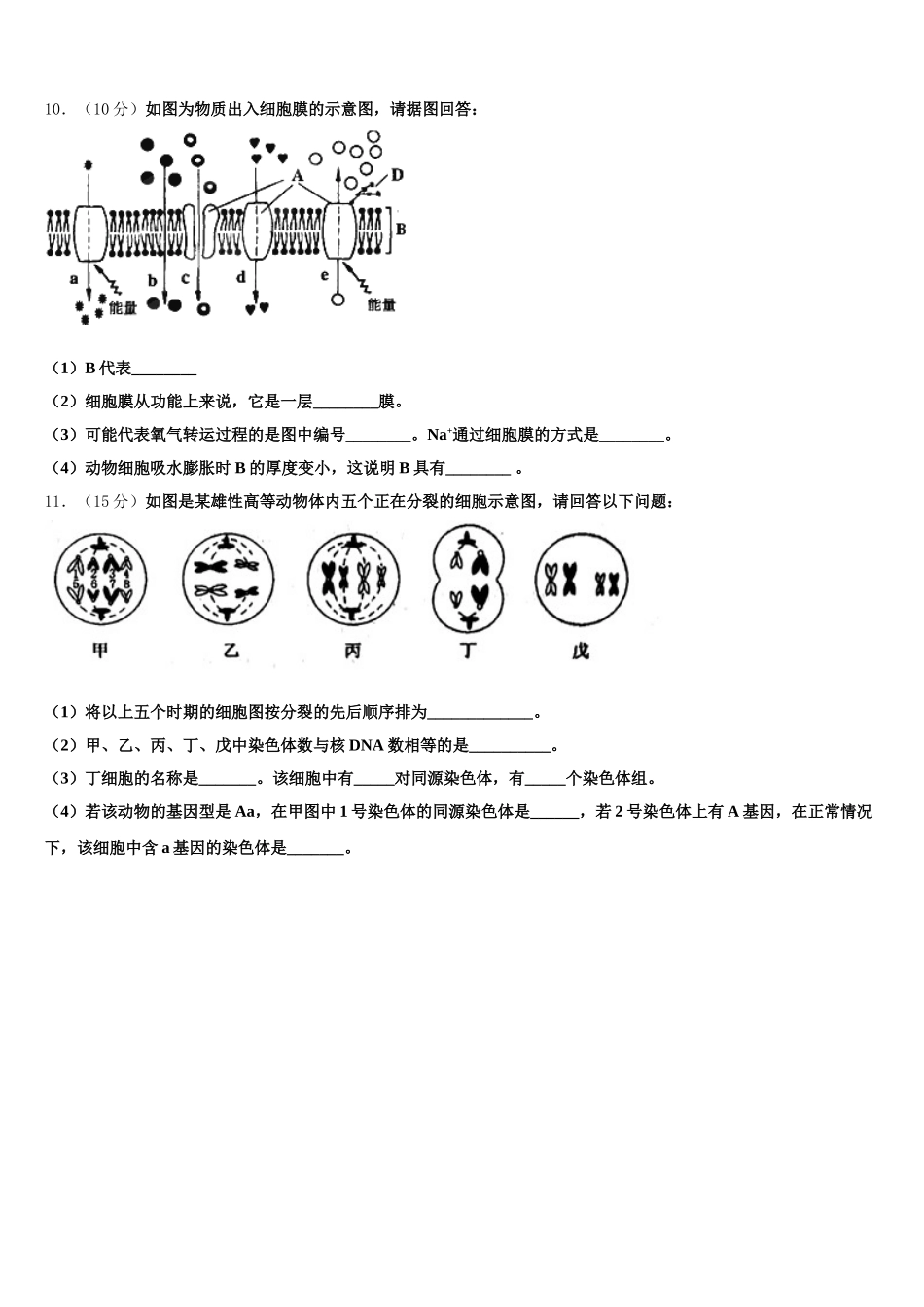 江苏省泰州市兴化市第一中学2025年生物高一第二学期期末考试试题含解析_第3页
