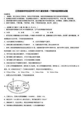 江苏省扬州市仪征中学2025届生物高一下期末监测模拟试题含解析