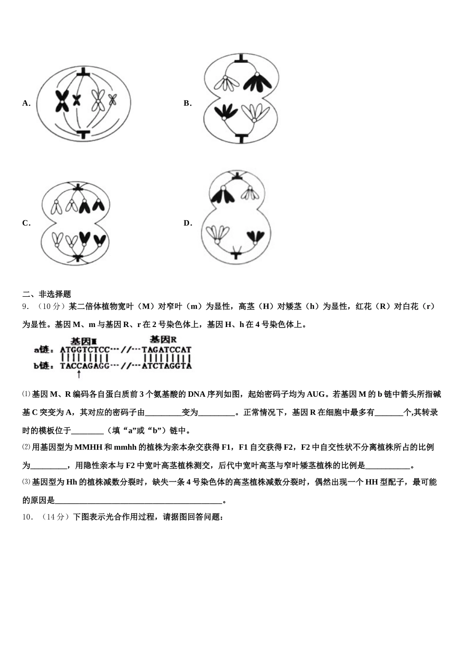 2025年江苏省苏州市生物高一下期末经典模拟试题含解析_第3页