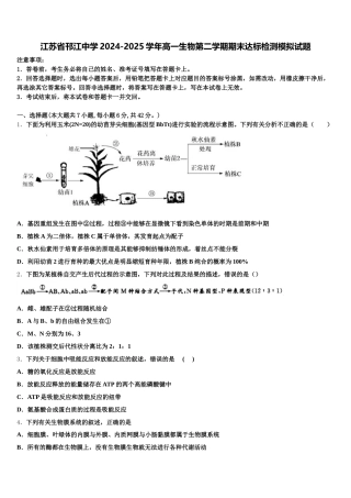 江苏省邗江中学2024-2025学年高一生物第二学期期末达标检测模拟试题含解析