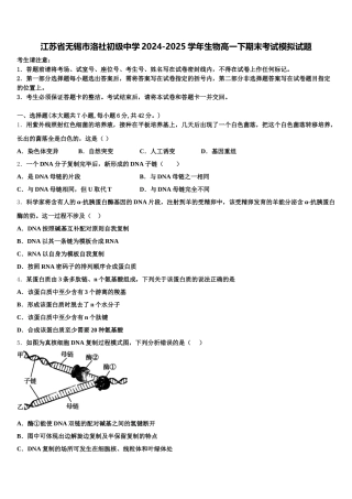 江苏省无锡市洛社初级中学2024-2025学年生物高一下期末考试模拟试题含解析