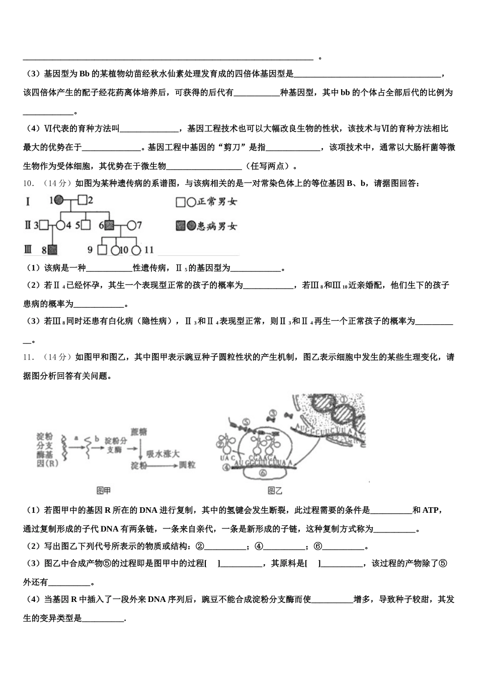 江苏省徐州市铜山区大许中学2024-2025学年高一生物第二学期期末学业质量监测模拟试题含解析_第3页