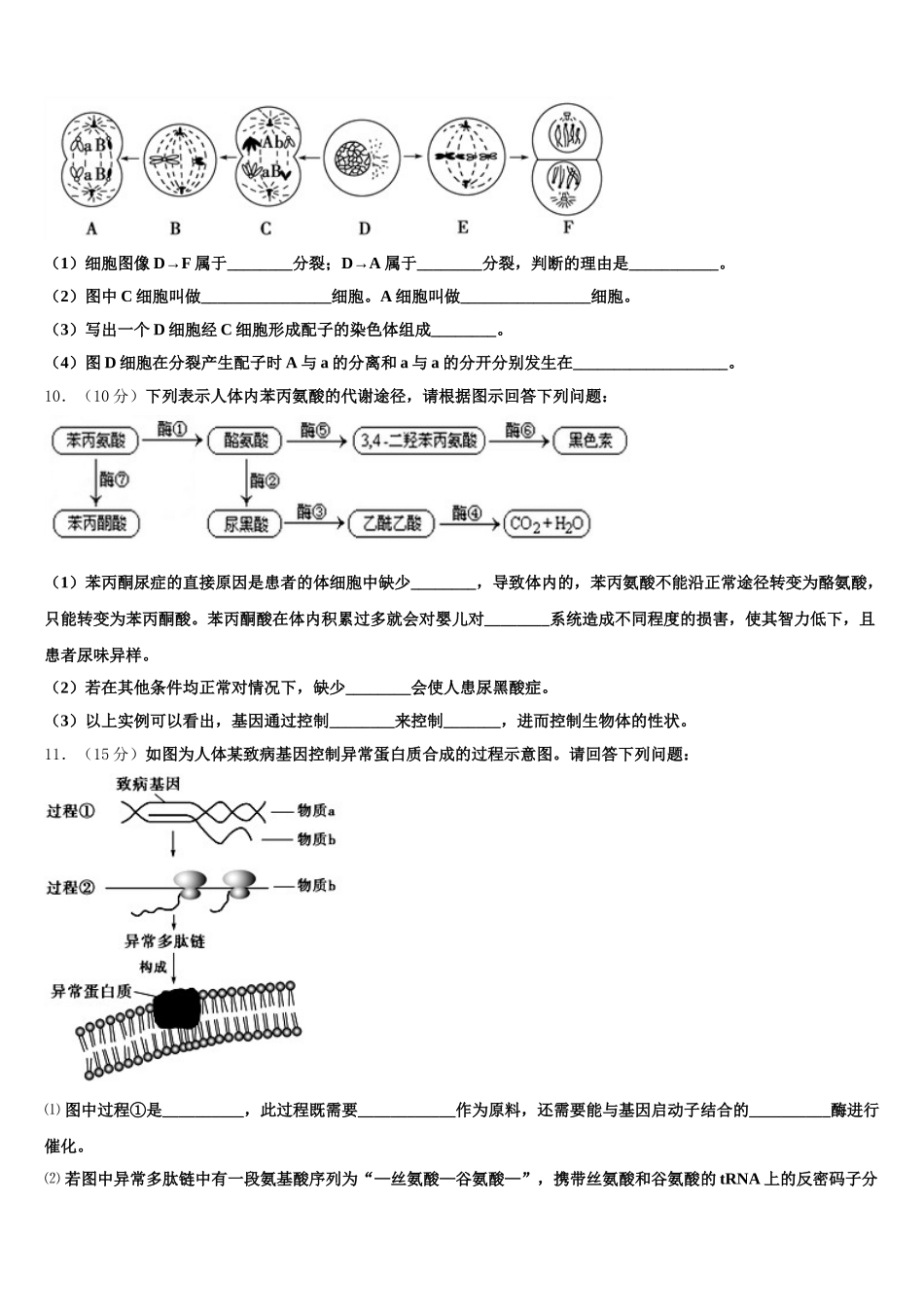 2025届江苏省苏州苏州星海中学高一下生物期末学业质量监测模拟试题含解析_第3页