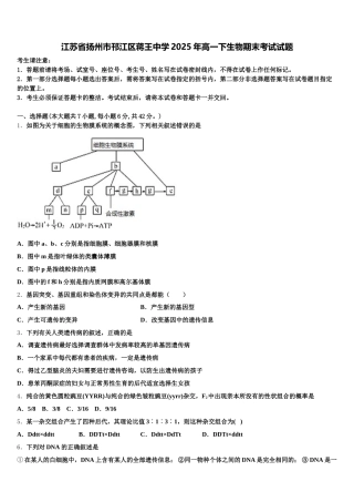 江苏省扬州市邗江区蒋王中学2025年高一下生物期末考试试题含解析
