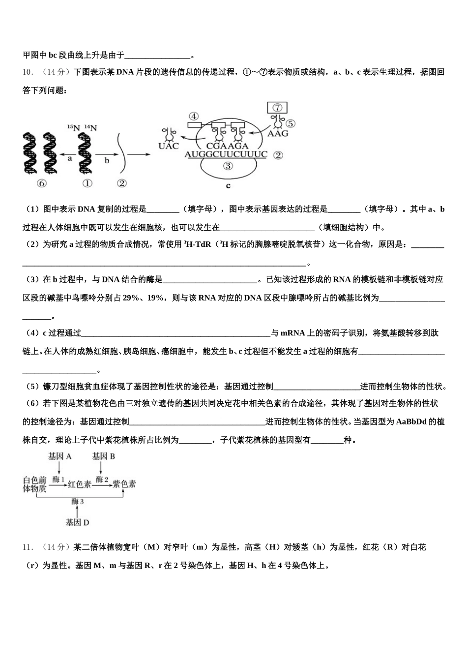 江苏省无锡市石塘湾中学2024-2025学年生物高一下期末经典试题含解析_第3页