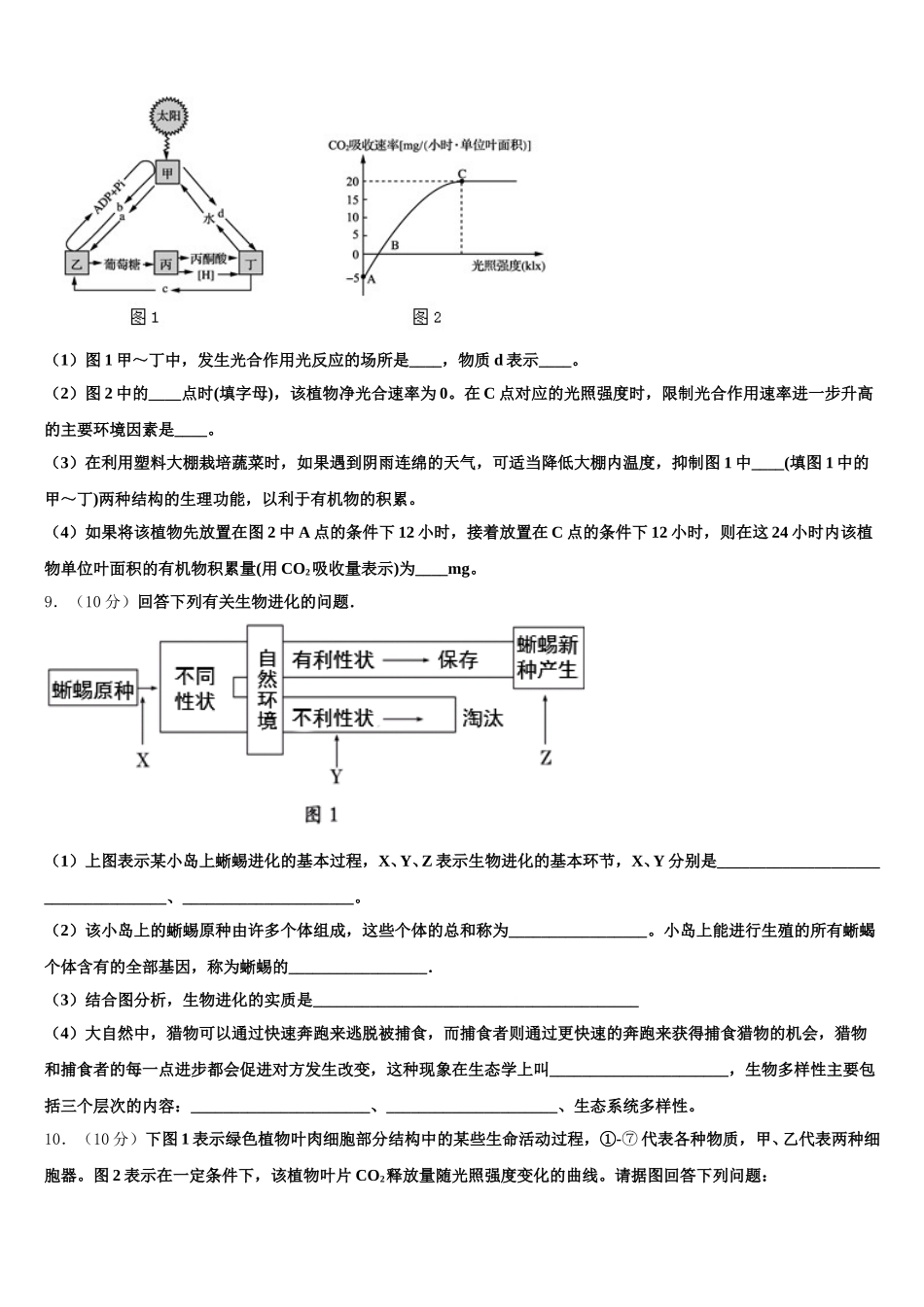 2025届江苏省盐城市亭湖区伍佑中学高一生物第二学期期末检测模拟试题含解析_第3页