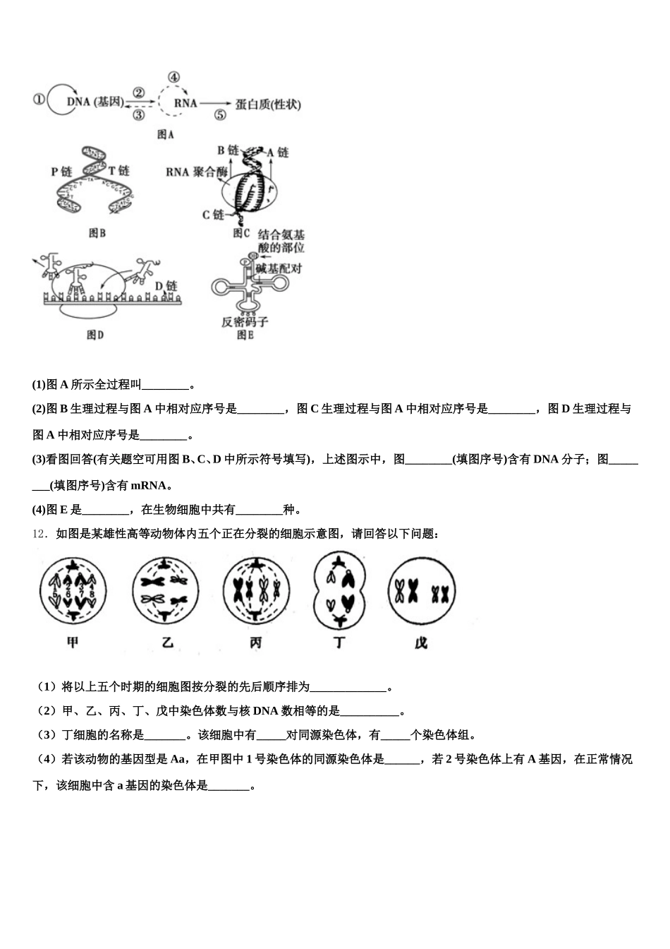 2025年南京外国语学校高一下生物期末达标检测模拟试题含解析_第3页