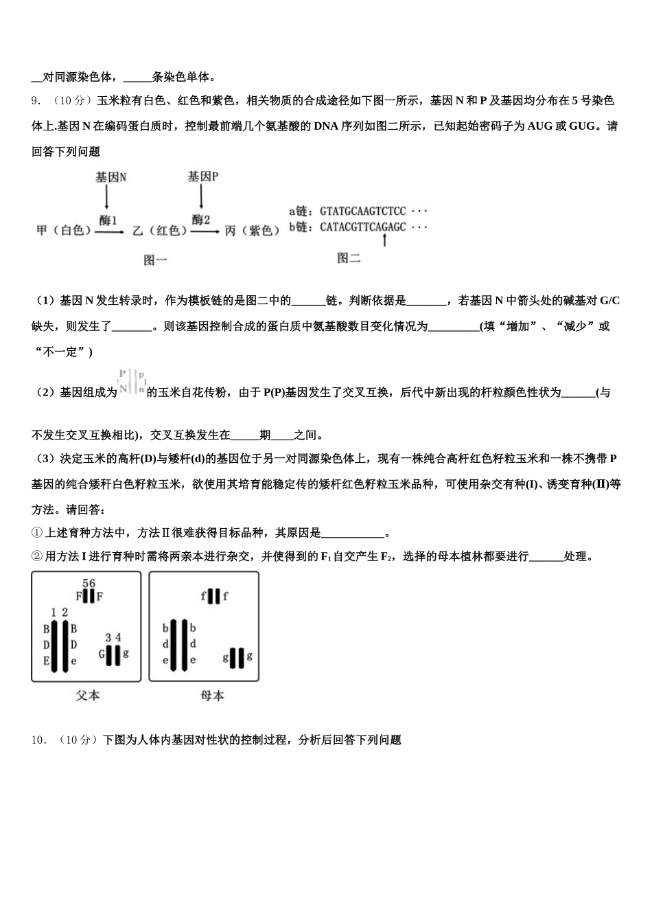 2025年江苏省黄桥中学生物高一下期末检测试题含解析_第3页